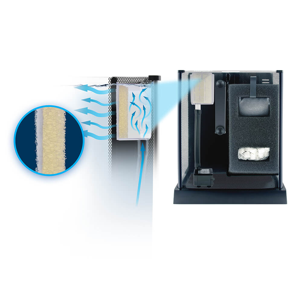 Fluval Betta Premium Aquarium Kit - 10 L (2.65 US gal)