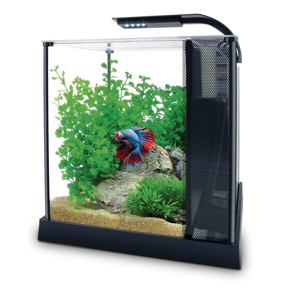 Fluval Betta Premium Aquarium Kit - 10 L (2.65 US gal)