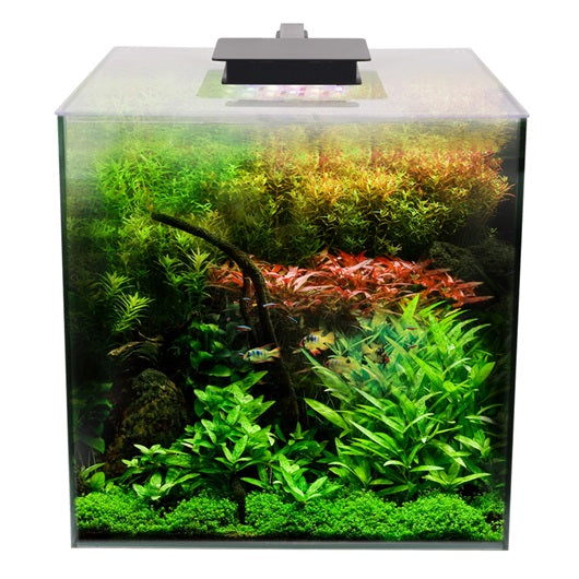Fluval Flora Aquarium Plant Kit - 54.8 L (14.5 US gal)