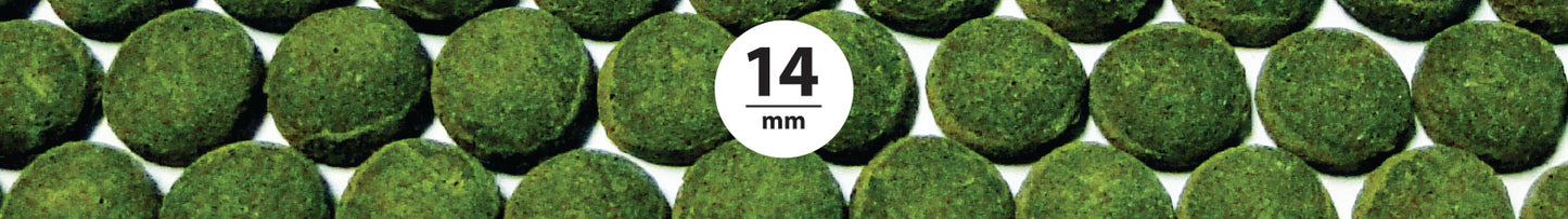 NorthFin Kelp Wafers 14mm