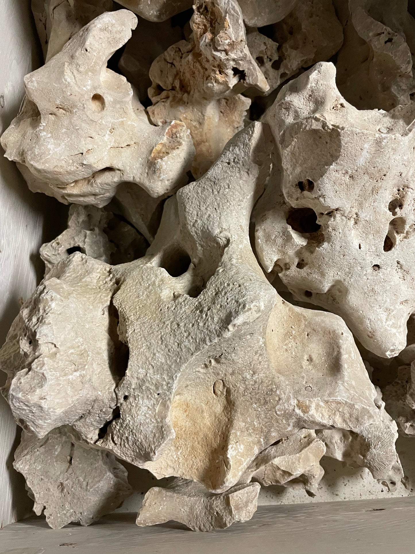 Aquarium Rock