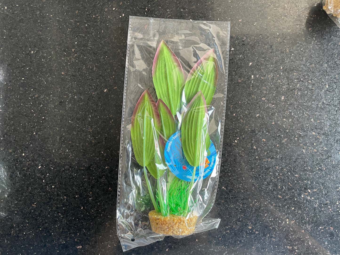 Silk Plant with Gravel Base