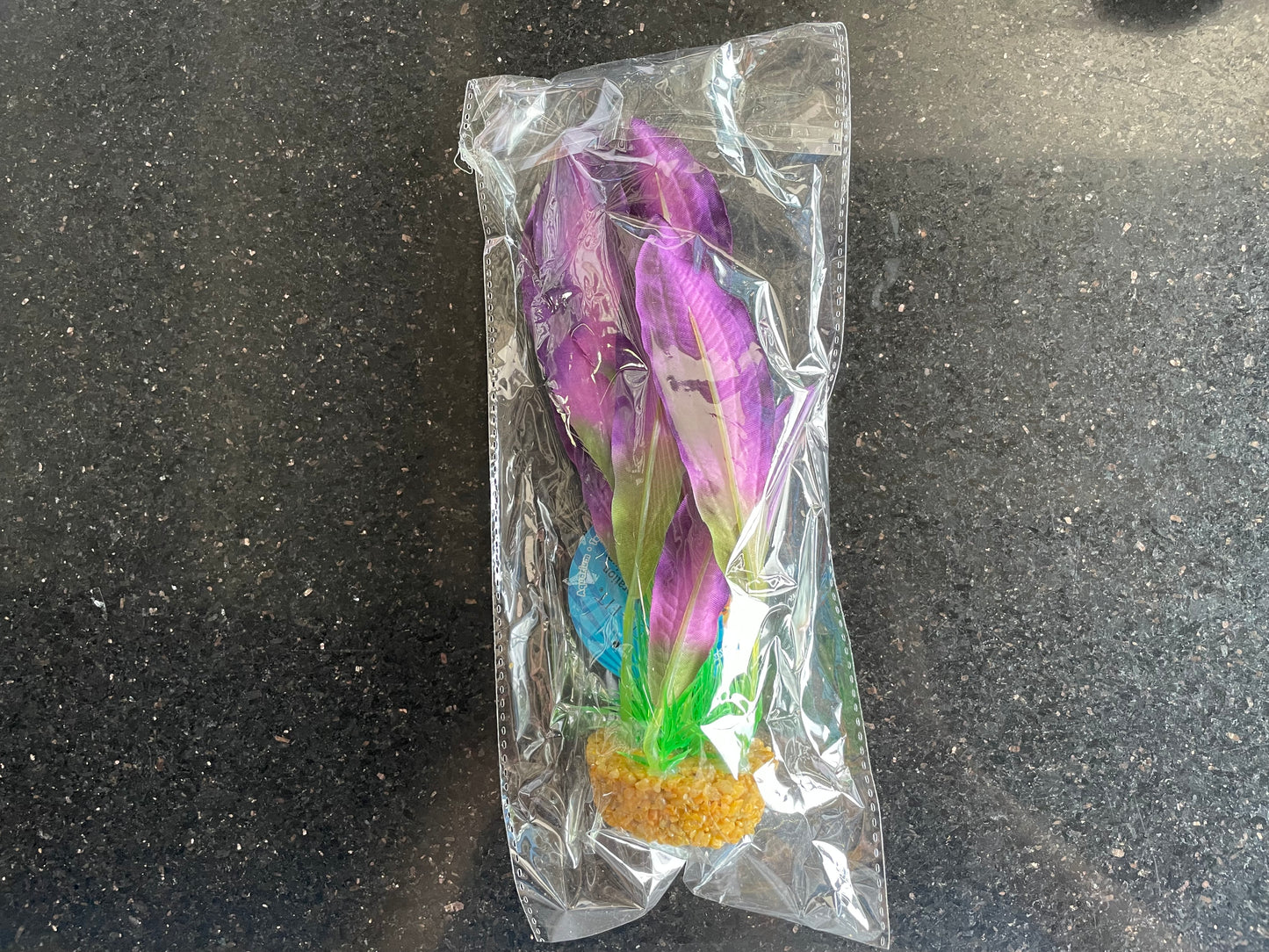 Silk Plant with Gravel Base