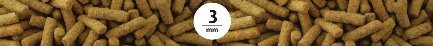 NorthFin Tropical Sticks 3mm