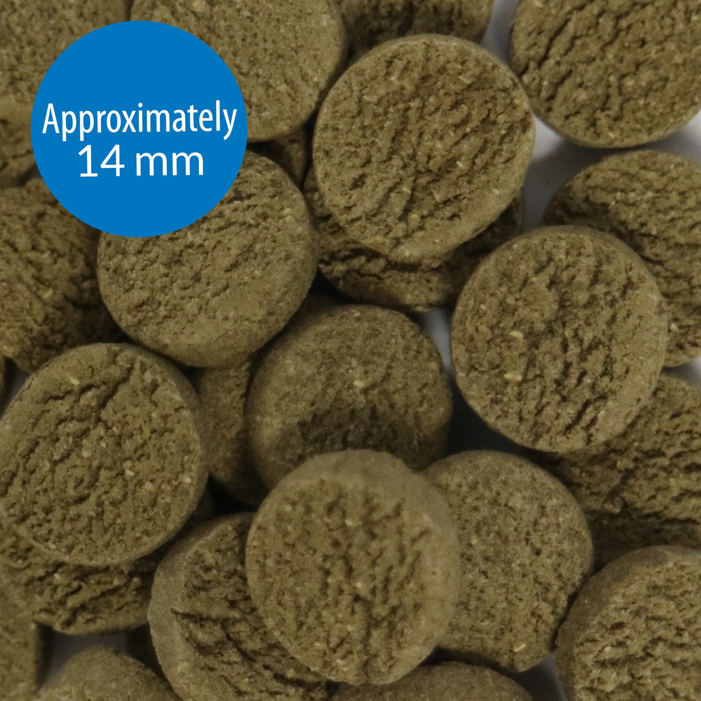 API Algae Eater Wafers